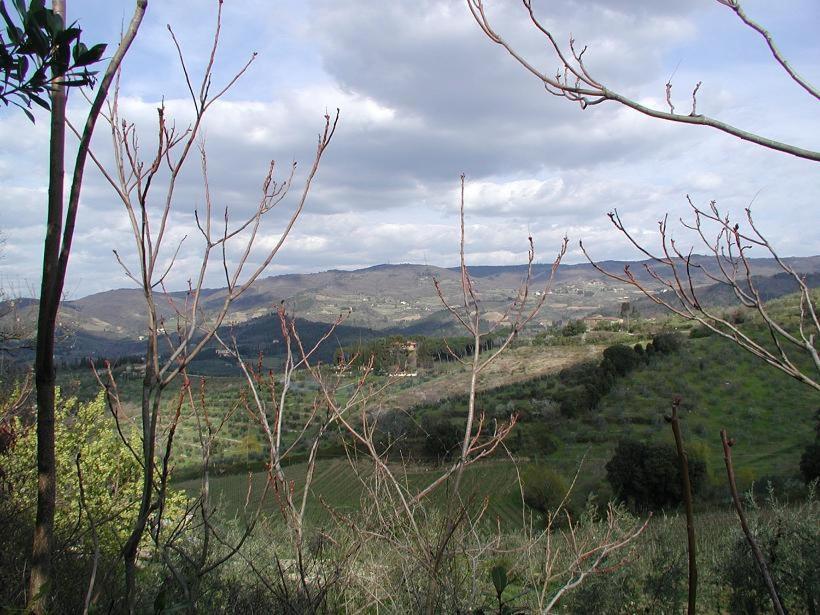 Agriturismo Podere La Casa Lägenhet Panzano in Chianti Exteriör bild